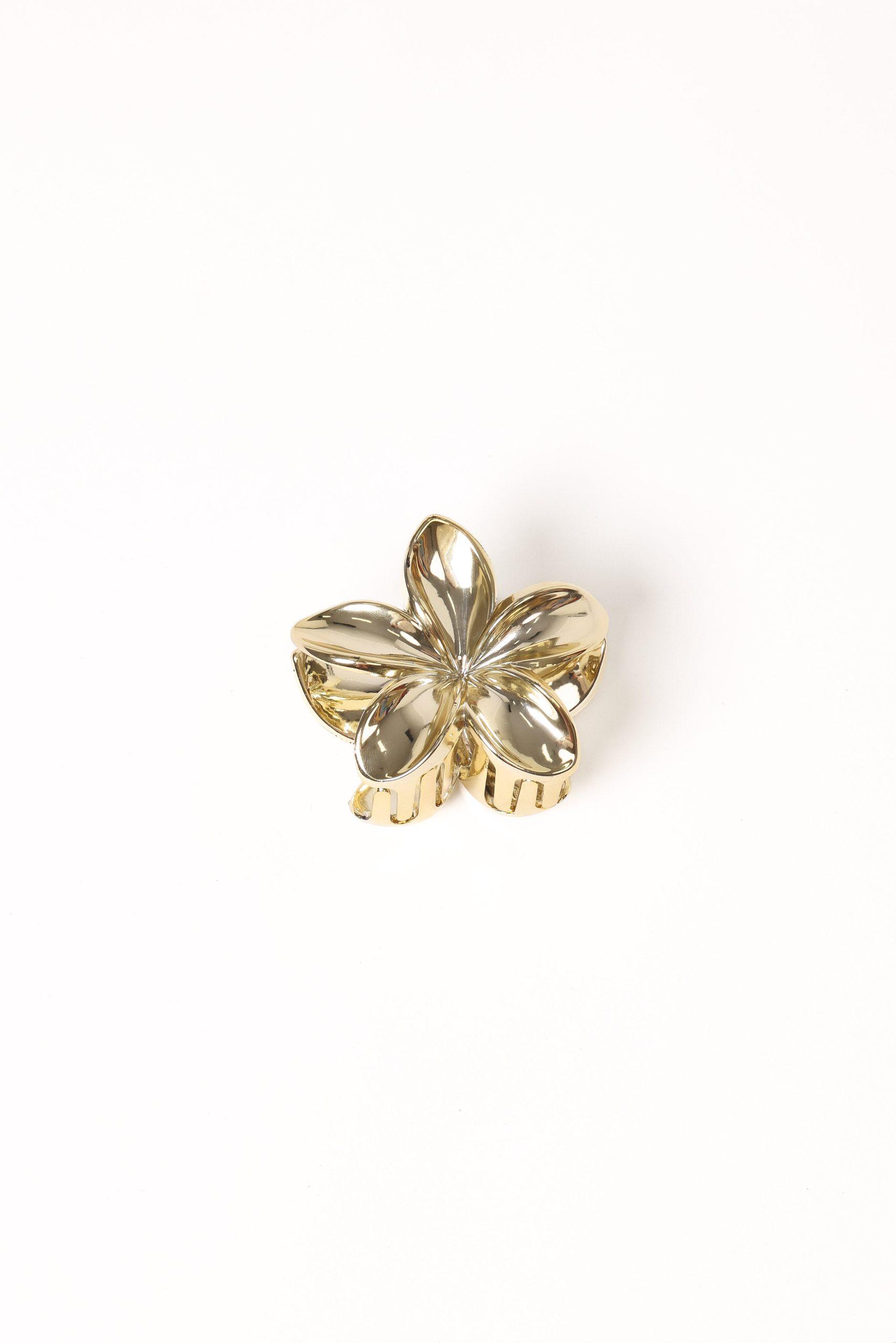 Tiarne Hair Clip - Gold