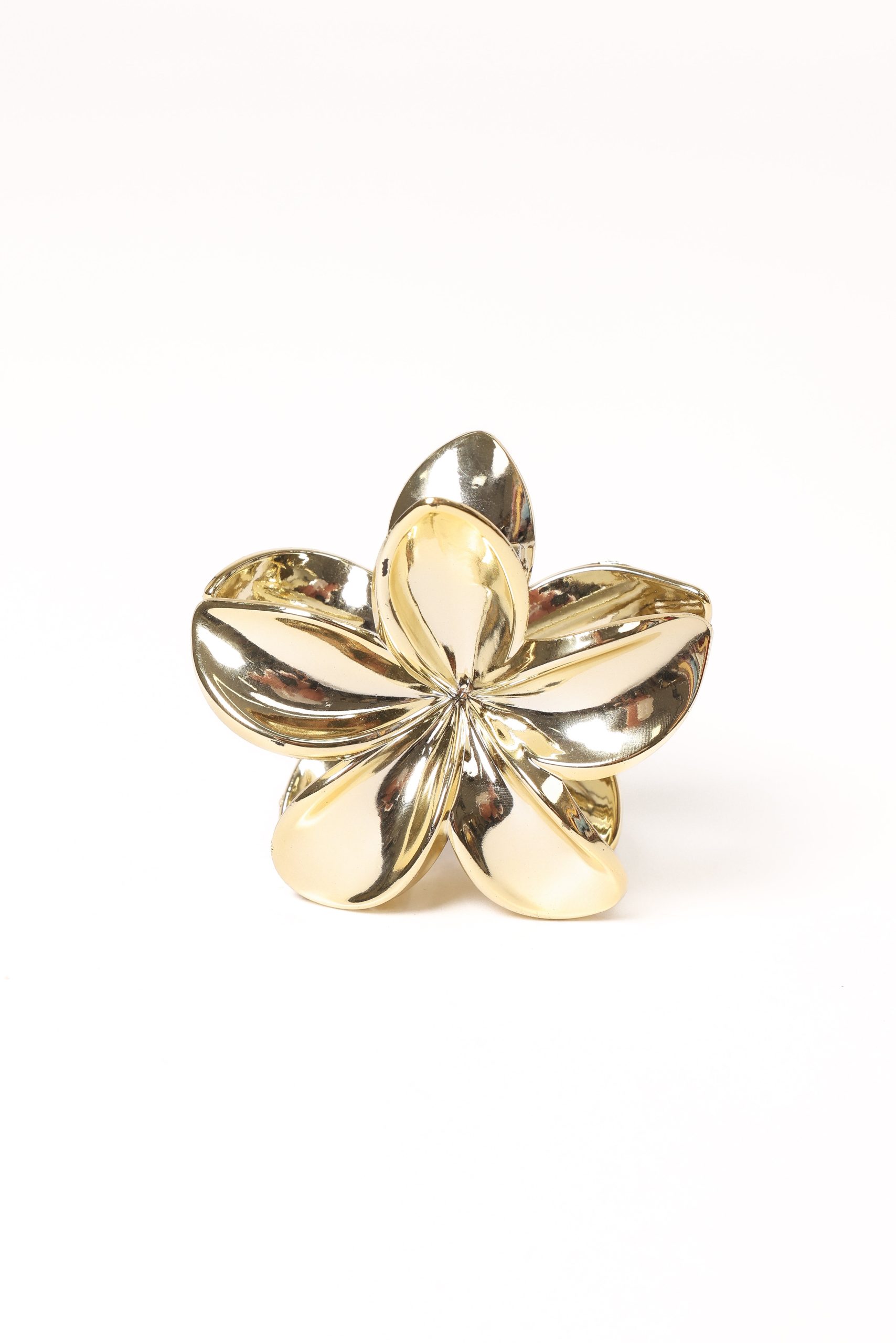 Tiarne Hair Clip - Gold - Image 2