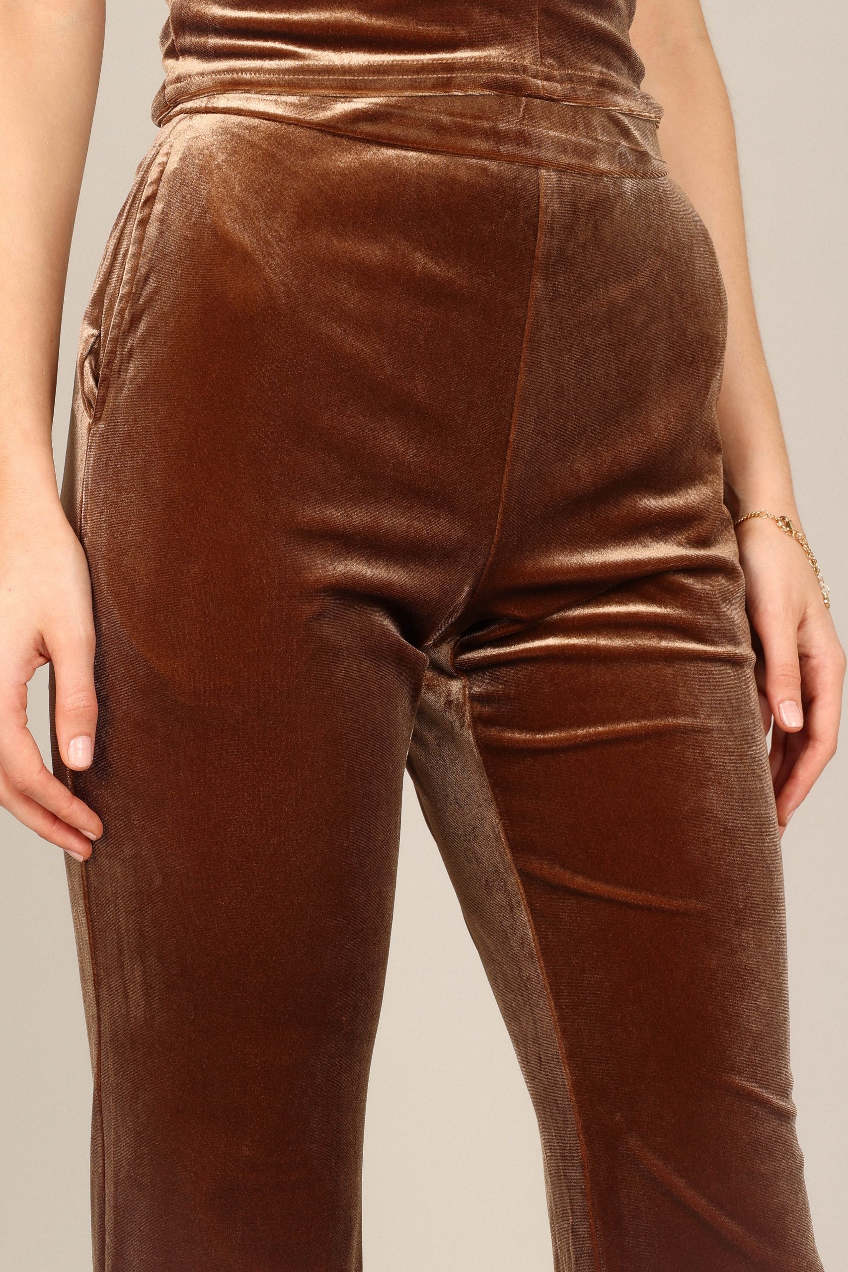 Celine Velvet Pants - Brown - Image 2