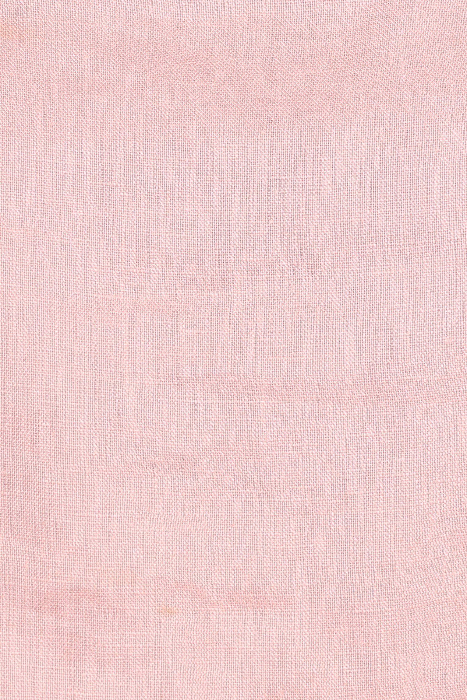 Devlin Pant - Blush - Image 7