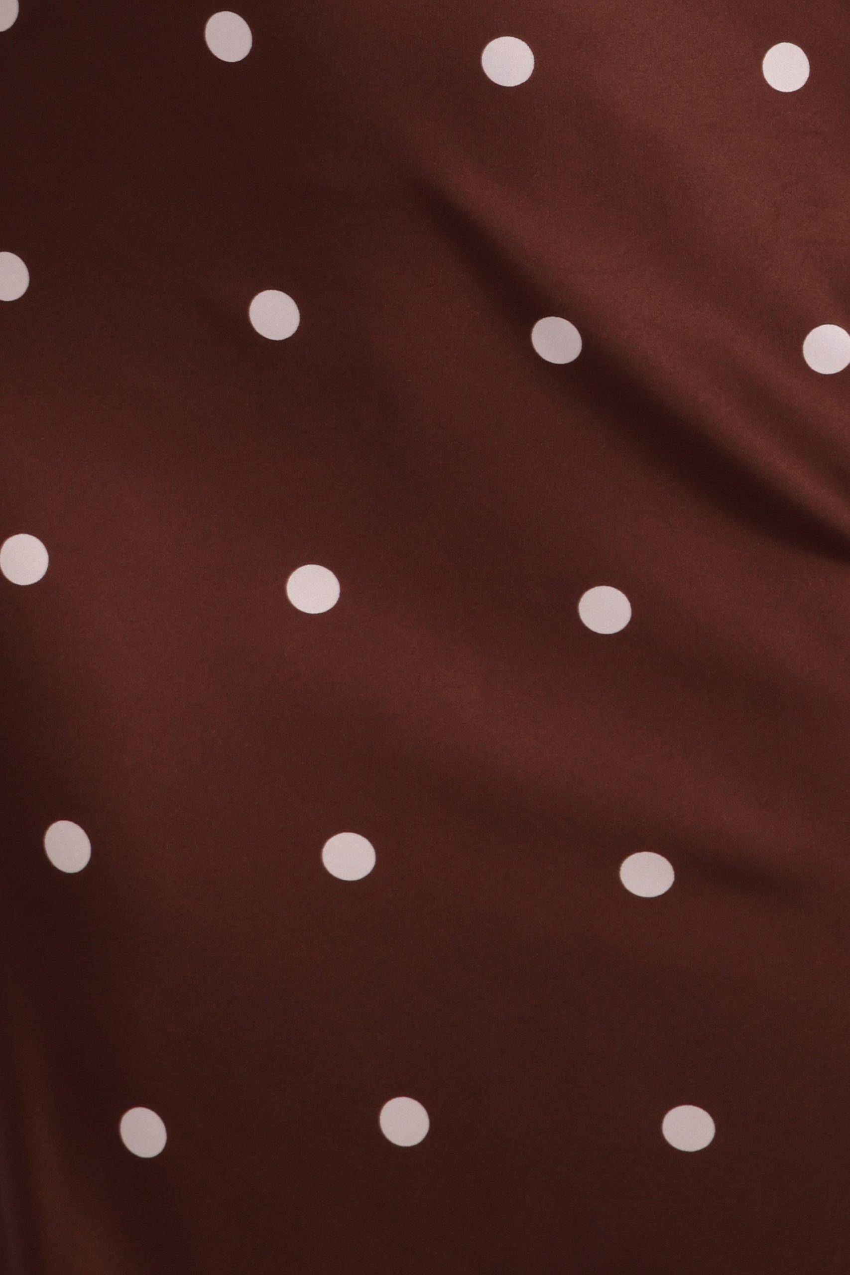 Anika Maxi Dress - Brown Polka Dot - Image 6