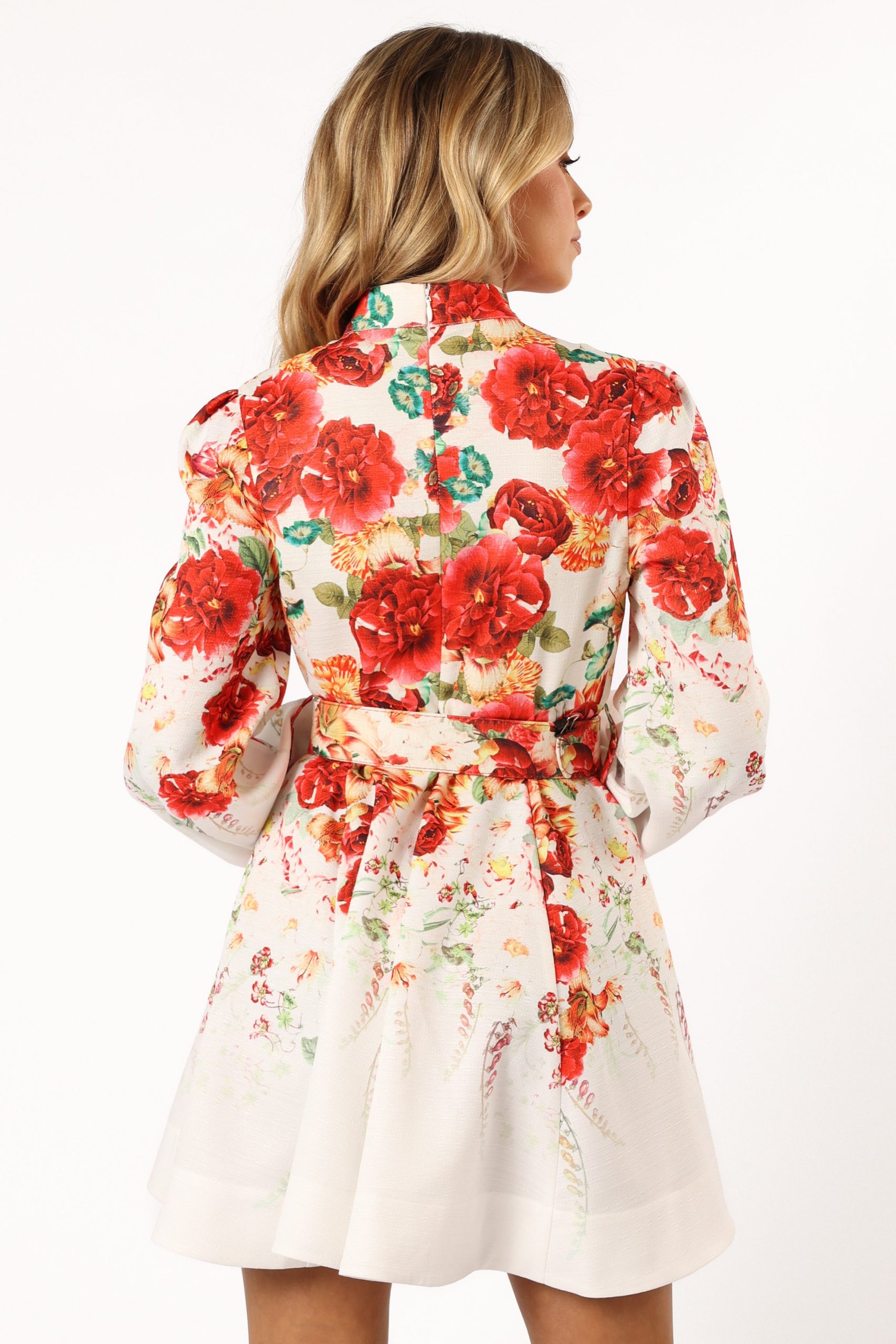 Pipps Long Sleeve Mini Dress - Multi - Image 6