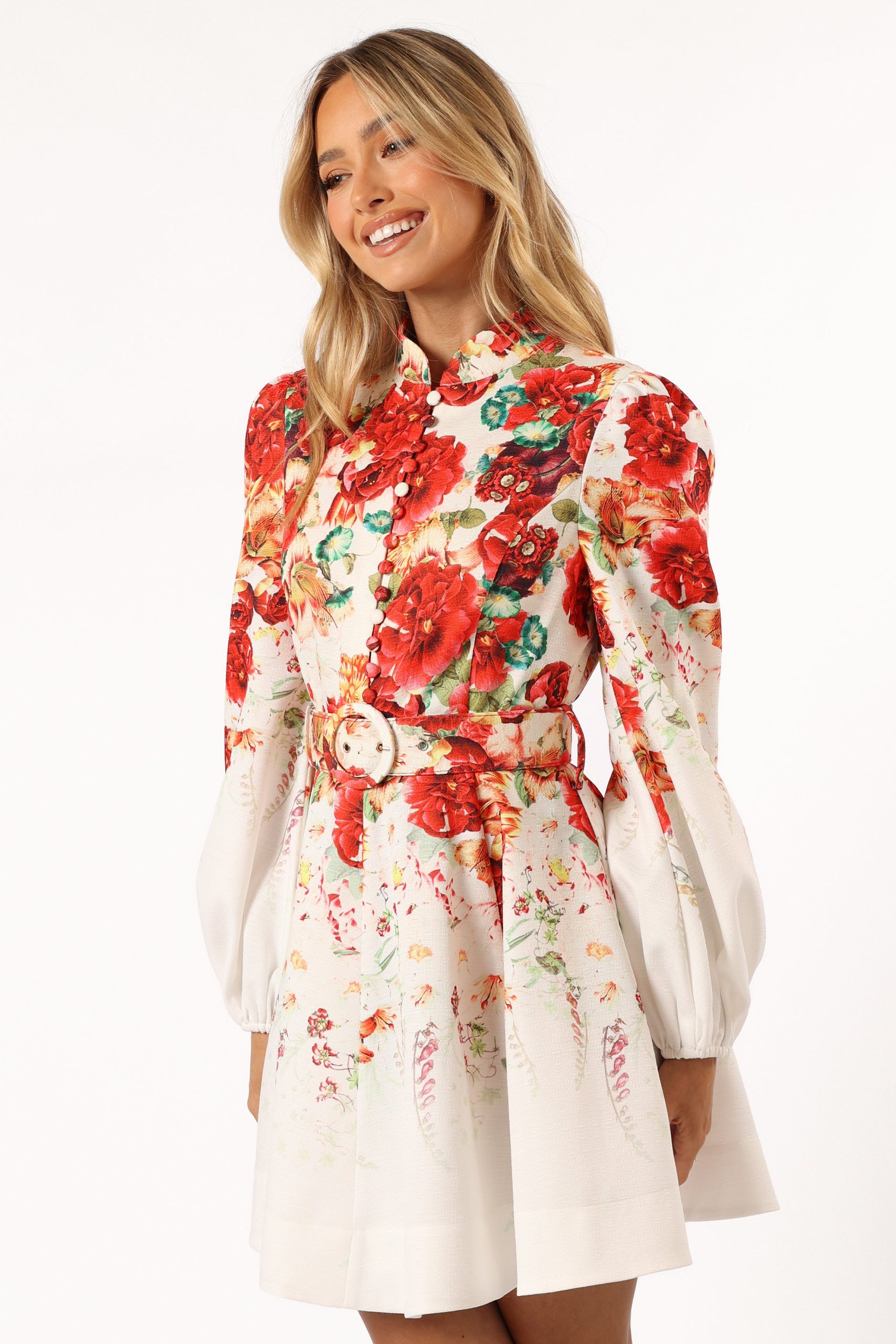 Pipps Long Sleeve Mini Dress - Multi - Image 4