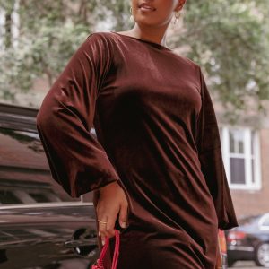 Twylar Long Sleeve Velvet Mini Dress - Brown