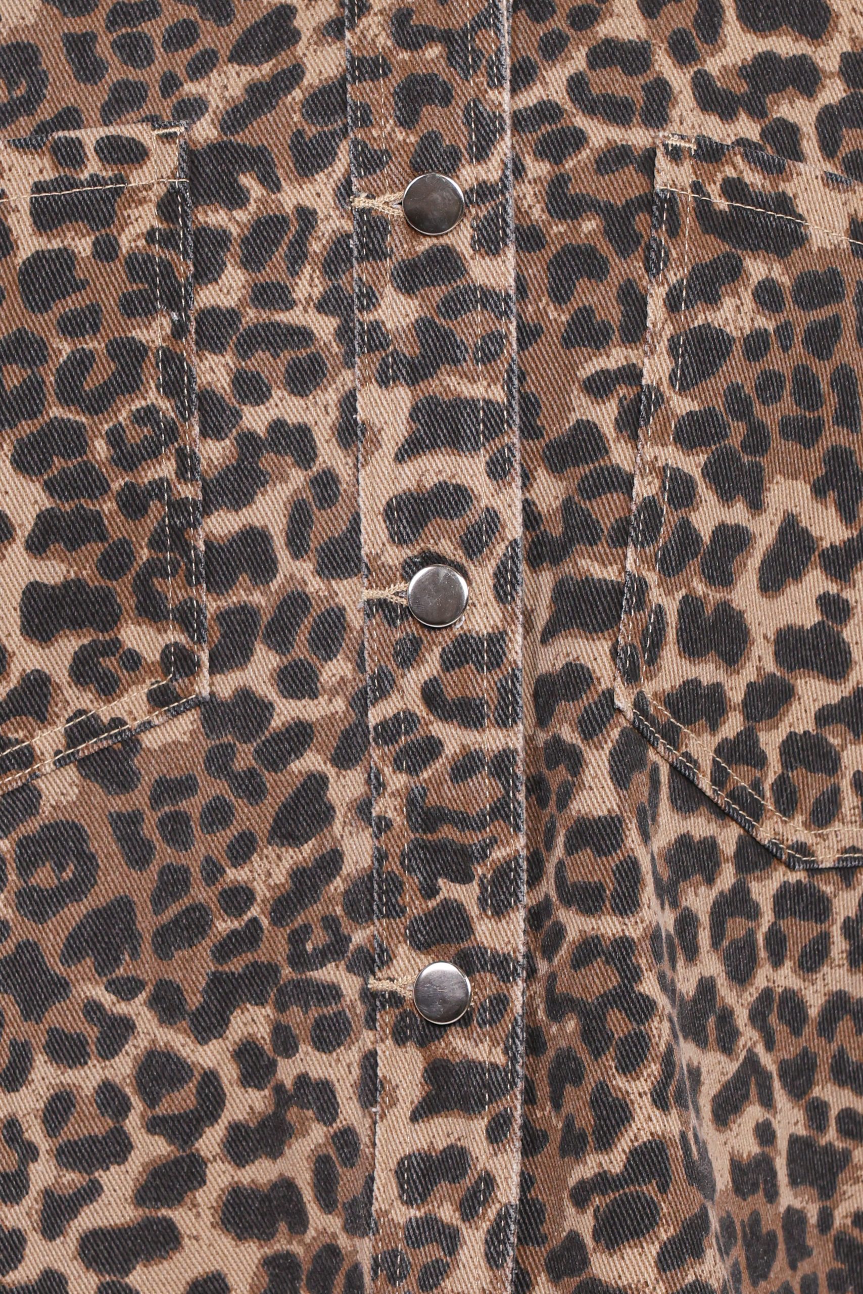 Elias Shacket - Leopard - Image 6