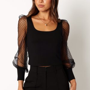 Wesson Sheer Sleeve Top - Black
